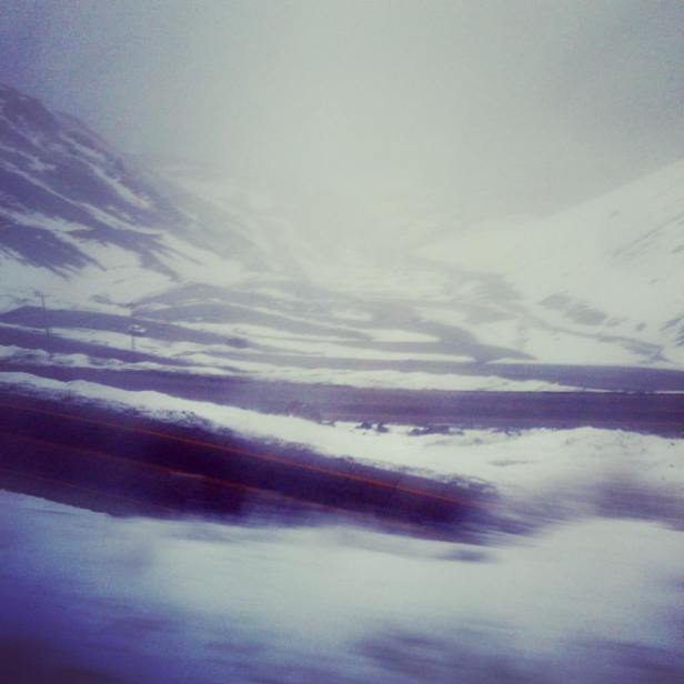 13692915_10154033571947798_9041653344273035350_o